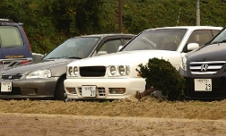 Японские автомобили: покупка подержанных машин с аукционов