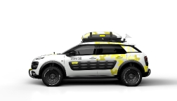 Citroen C4 Cactus: изгой или новатор.