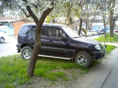 Chevrolet Niva, 2004 г. в городе КРАСНОДАР