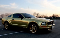 Ford Mustang, 2004 г. в городе КРАСНОДАР