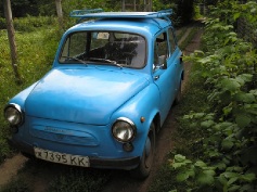 ЗАЗ 965, 1963 г. в городе Тихорецкий район