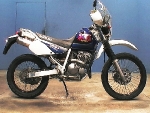 Suzuki  Djebel250GPS