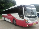 Hyundai Universe Luxury 2008 год.