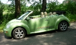 VW NEW Beetle Convertible