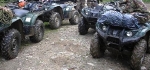 Продаю два ATV Yamaha Grizzly 450