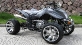 Эксклюзивный квадроцикл Yamaha ATV 250cm3