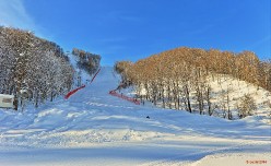 Сочи накануне Олимпиады 2014.