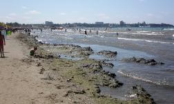 Море и пляжи Анапы предлагают очищать пылесосом