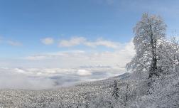 «Зимний Абадзеш» - новый туристический маршрут на территории Заповедника