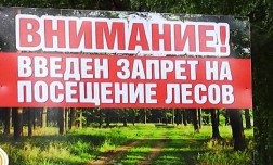 В Краснодарском крае ограничили посещение лесов до 6 августа