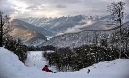 Олимпийская земля в аренду