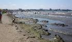 Море и пляжи Анапы предлагают очищать пылесосом