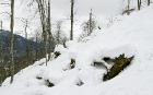 Снегопад в Сочи блокировал движение на трассе Адлер - Красная Поляна