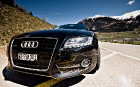 Президент американского отделения Audi «ответил за базар»