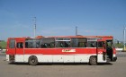 Новые требования к перевозке детей в автобусах