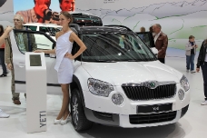 Skoda Yeti 2013 года — Yeti Sochi