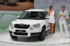 Skoda Yeti 2013 года — Yeti Sochi