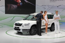 Skoda Yeti 2013 года — Yeti Sochi